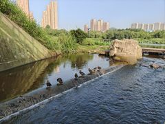 -前关湿地公园