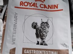 -中农国际动物医院24小时·猫科·骨科·急重症中心