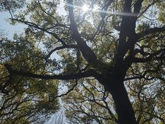 -普陀山风景区-佛顶山