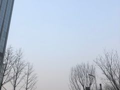 -重庆市江北嘴中央商务区中央公园