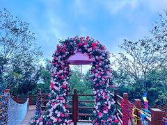 -青岛电视塔