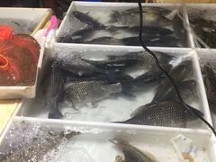 水产区-永汉农贸市场