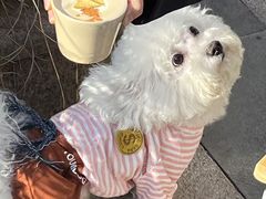 -HUGS coffee(东区店)
