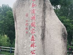 -合肥滨湖国家森林公园