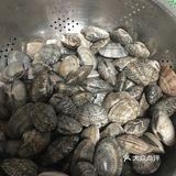 夏日必备的家常辣炒蚬子