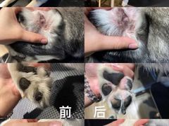-听TA说宠咖·宠物生活馆(天韵水岸店)