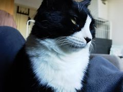 -平行世界·猫咖(首经贸店)