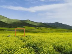 -扁都口生态休闲旅游区