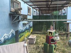 -青藏高原野生动物园