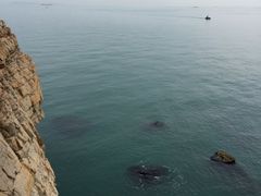 -龙爪山国家地质公园