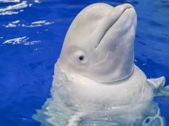 -福州罗源湾海洋世界旅游区