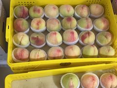 -老袁家蜜桃农场·阳山水蜜桃