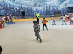 -世界之窗阿尔卑斯冰雪世界