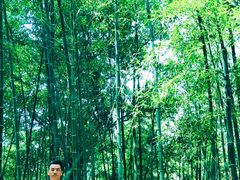 -终南山国家森林公园