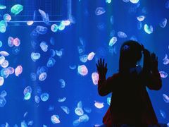 -海合安成都极地海洋公园