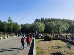 -丁香湖公园