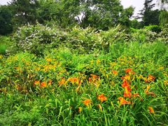 -国家植物园南园