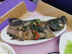 -百佳医疗级月子会所