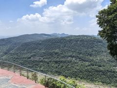 -铁山坪森林公园