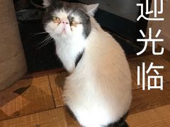 -俏湘私房菜(国贸店)
