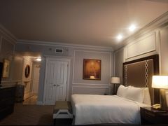 -澳门威尼斯人综合度假区