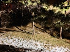 -元大都城垣遗址公园