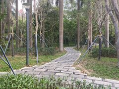 -燕晗山郊野公园