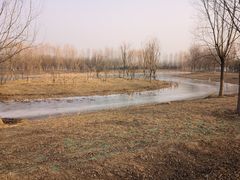 -东郊湿地公园