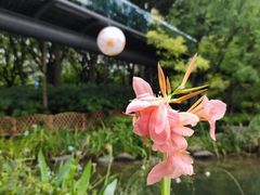 -徐家汇公园