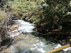 -九寨沟-树正沟