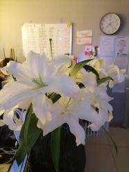 -FineYoga梵音瑜伽·普拉提