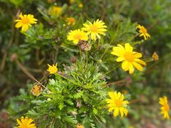 -重庆中央公园(渝北区)