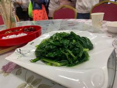 清炒油麦菜-清真·伊清阁餐厅