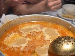 -禄婶鸡煲·打边炉