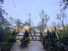 -杭州新新饭店·1913餐厅