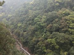 景点-九龙江国家森林公园