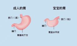 点击看大图 -琅悦月子会所(香格里拉旗舰店)