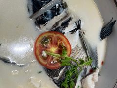 -全乐鱼馆·淳牌有机鱼直营店