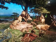 -国家自然博物馆