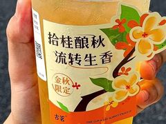 桂花乌龙-古茗(霖磐店)