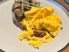 -Wagas沃歌斯(汇智店)