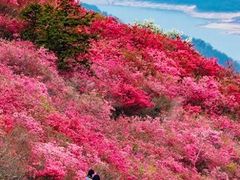 -木兰云雾山