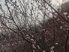 -北京凤凰岭