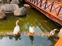 -西双版纳洲际度假酒店-泰傣餐厅