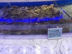 大闸蟹-澜悦港海鲜体验主题餐厅
