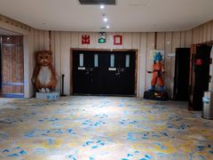 -武汉华夏国际影城(鲁广店)