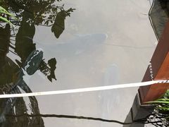 -万景饭店·鱼街农家菜