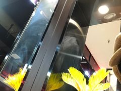 -南方太太小锅米饭(西工区金谷园路店)