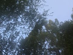 -观音阁水库风景区