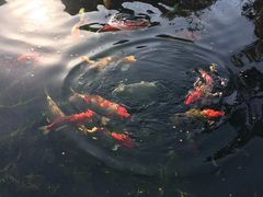 -宝业会稽山高尔夫俱乐部